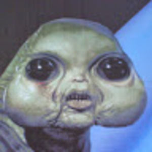 Meet your Posher, Brad